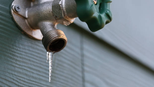 Best Water Leak Repair  in Osprey, FL